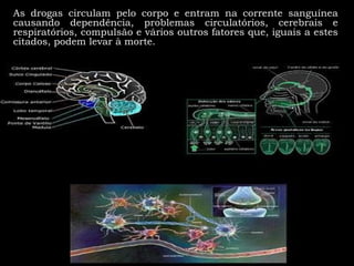 As drogas circulam pelo corpo e entram na corrente sanguínea causando dependência, problemas circulatórios, cerebrais e respiratórios, compulsão e vários outros fatores que, iguais a estes citados, podem levar à morte.  