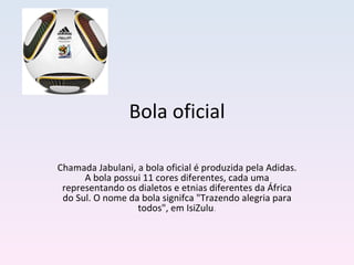 Bola oficial Chamada Jabulani, a bola oficial é produzida pela Adidas. A bola possui 11 cores diferentes, cada uma representando os dialetos e etnias diferentes da África do Sul. O nome da bola signifca "Trazendo alegria para todos", em IsiZulu . 