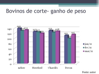 Bovinos de corte- ganho de peso Fonte: autor 