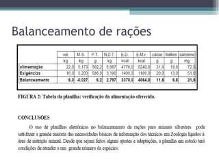 Balanceamento de rações 