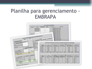 Planilha para gerenciamento - EMBRAPA 