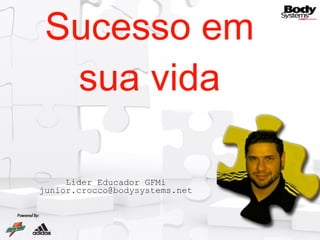 Sucesso em sua vida Lider Educador GFMi [email_address] 