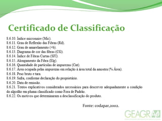 Certificado de Classificação
Fonte: codapar,2002.
 