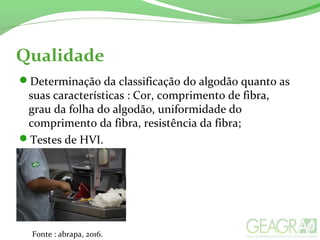 Qualidade
Determinação da classificação do algodão quanto as
suas características : Cor, comprimento de fibra,
grau da folha do algodão, uniformidade do
comprimento da fibra, resistência da fibra;
Testes de HVI.
Fonte : abrapa, 2016.
 
