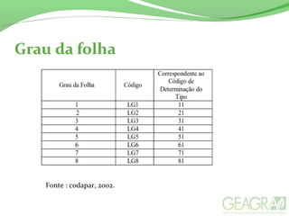 Fonte : codapar, 2002.
 