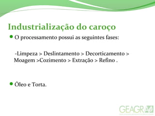 Industrialização do caroço
O processamento possui as seguintes fases:
-Limpeza > Deslintamento > Decorticamento >
Moagem >Cozimento > Extração > Refino .
Óleo e Torta.
 