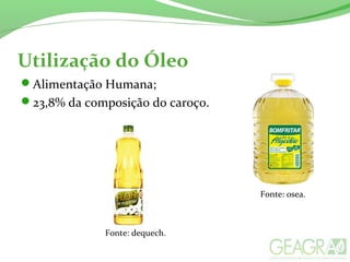Utilização do Óleo
Alimentação Humana;
23,8% da composição do caroço.
Fonte: osea.
Fonte: dequech.
 