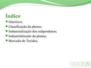 Índice
Histórico;
Classificação da pluma;
Industrialização dos subprodutos;
Industrialização da pluma;
Mercado de Tecidos.
 