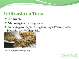 Utilização da Torta
Fertilizante;
Adubo orgânico nitrogenado;
Porcentagens: 6-7% Nitrogênio, 2-3% Fósforo, 1-2%
Potássio, 0,5-1% Magnésio.
Fonte: agropecuariamap, 2015.
 