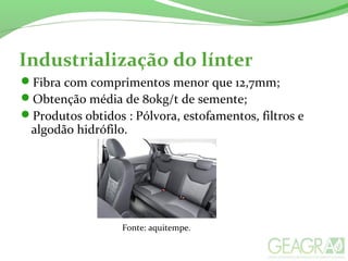 Industrialização do línter
Fibra com comprimentos menor que 12,7mm;
Obtenção média de 80kg/t de semente;
Produtos obtidos : Pólvora, estofamentos, filtros e
algodão hidrófilo.
Fonte: aquitempe.
 