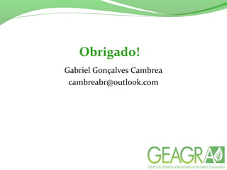 Obrigado!
Gabriel Gonçalves Cambrea
cambreabr@outlook.com
 