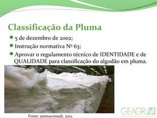 Classificação da Pluma
5 de dezembro de 2002;
Instrução normativa Nº 63;
Aprovar o regulamento técnico de IDENTIDADE e de
QUALIDADE para classificação do algodão em pluma.
Fonte: animaconsult, 2012.
 