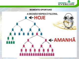 Escritório Virtual on-line para gerenciar Seu negocio;