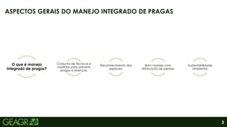 3
ASPECTOS GERAIS DO MANEJO INTEGRADO DE PRAGAS
O que é manejo
integrado de pragas?
Conjunto de técnicas e
medidas para prevenir
pragas e doenças;
Reconhecimento das
espécies;
Bom manejo com
diminuição de perdas;
Sustentabilidade
ambiental.
 