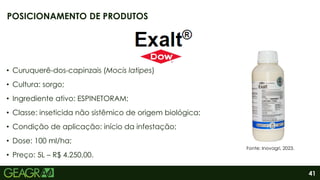 41
• Curuquerê-dos-capinzais (Mocis latipes)
• Cultura: sorgo;
• Ingrediente ativo: ESPINETORAM;
• Classe: inseticida não sistêmico de origem biológica;
• Condição de aplicação: início da infestação;
• Dose: 100 ml/ha;
• Preço: 5L – R$ 4.250,00.
POSICIONAMENTO DE PRODUTOS
Fonte: Inovagri, 2023.
 