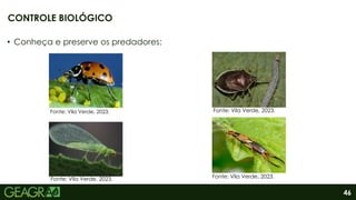 46
• Conheça e preserve os predadores:
CONTROLE BIOLÓGICO
Fonte: Vila Verde, 2023. Fonte: Vila Verde, 2023.
Fonte: Vila Verde, 2023. Fonte: Vila Verde, 2023.
 