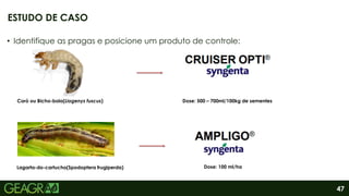 47
• Identifique as pragas e posicione um produto de controle:
ESTUDO DE CASO
Coró ou Bicho-bolo(Liogenys fuscus) Dose: 500 – 700ml/100kg de sementes
Lagarta-do-cartucho(Spodoptera frugiperda) Dose: 100 ml/ha
 