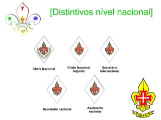 [Distintivos nível nacional] Chefe Nacional Chefe Nacional Adjunto Secretário internacional Secretário nacional Assistente nacional 
