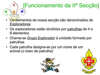 [Funcionamento da IIª Secção] Os elementos da nossa secção são denominados de  Exploradores Os exploradores estão dividídos por  patrulhas  de 4 a 8 elementos Chama-se  Grupo Explorador  à unidade formada por patrulhas Cada patrulha designa-se por um nome de um animal (o toten de patrulha) 