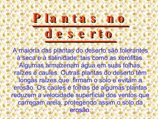 Plantas no deserto A maioria das plantas do deserto são tolerantes à seca e à salinidade, tais como as xerófitas. Algumas armazenam água em suas folhas, raízes e caules. Outras plantas do deserto têm longas raízes que  firmam o solo e evitam a erosão. O . s caules e folhas de algumas plantas reduzem a velocidade superficial dos ventos que carregam areia, protegendo assim o solo da   erosão. 
