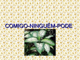 COMIGO-NINGUÉM-PODE   