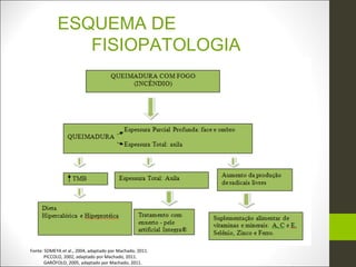 ESQUEMA DE
               FISIOPATOLOGIA




Fonte: SOMEYA et al., 2004, adaptado por Machado, 2011.
       PICCOLO, 2002, adaptado por Machado, 2011.
       GARÓFOLO, 2005, adaptado por Machado, 2011.
 