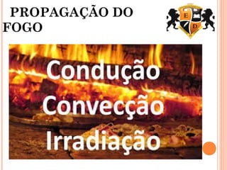 PROPAGAÇÃO DO
FOGO
 