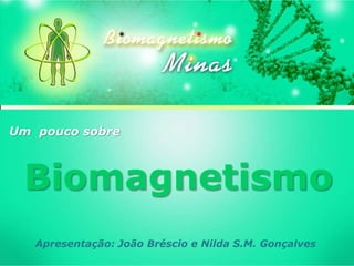 Um pouco sobre
Biomagnetismo
Apresentação: João Bréscio e Nilda S.M. Gonçalves
 