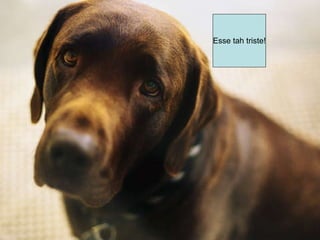 Esse tah triste! 