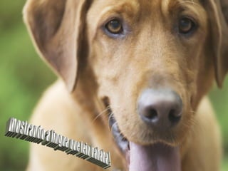 mostrando a lingua que feio hahaha ! 