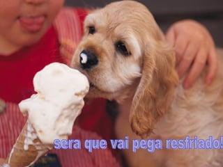 sera que vai pega resfriado! 