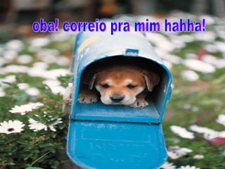 oba! correio pra mim hahha! 