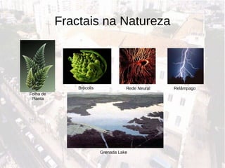 Fractais na Natureza Brócolis Rede Neural Relâmpago Folha de Planta Grenada Lake 