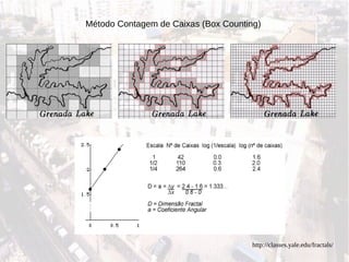 Método Contagem de Caixas (Box Counting)‏ http://classes.yale.edu/fractals/ 