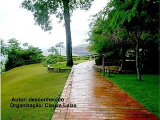 Autor: desconhecido
Organização: Cleuza Luiza
 