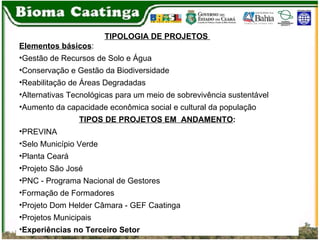 TIPOLOGIA DE PROJETOS  Elementos básicos :  Gestão de Recursos de Solo e Água Conservação e Gestão da Biodiversidade Reabilitação de Áreas Degradadas Alternativas Tecnológicas para um meio de sobrevivência sustentável Aumento da capacidade econômica social e cultural da população TIPOS DE PROJETOS EM  ANDAMENTO : PREVINA Selo Município Verde Planta Ceará Projeto São José PNC - Programa Nacional de Gestores Formação de Formadores Projeto Dom Helder Câmara - GEF Caatinga Projetos Municipais Experiências no Terceiro Setor   