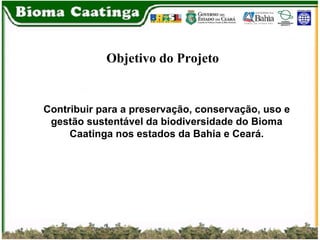 Objetivo do Projeto Contribuir para a preservação, conservação, uso e gestão sustentável da biodiversidade do Bioma Caatinga nos estados da Bahia e Ceará. 