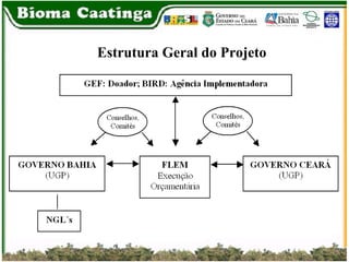 Estrutura Geral do Projeto 