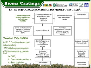 ESTRUTURA ORGANIZACIONAL DO PROJETO NO CEARÁ  *Decreto nº 27.434, 28/04/04 Art.2º. O Comitê será composto pelos membros:  07 Entidades governamentais; 07 Representantes sociedade Civil; 04 ONG; 01 Comunidade científica e 02 Setor produtivo Comitê Estadual da Reserva da Biosfera da Caatinga - CERBCa* Comitê de Monitoramento, Avaliação e Controle gerencial e financeiro   (SEPLAG, IPECE) EQUIPE TÉCNICA Comunidades Instâncias Regionais / Municipais de Meio Ambiente  -  OMMA Associações Comunitárias Instância de Execução Regional / Municipal Instância Regional Compartilhada Coordenação Comitê de Monitoramento e Avaliação Ambiental (SEMACE, FUNCEME, SDA) Conselho Estadual do Meio Ambiente - COEMA Conselho de Políticas e Gestão do Meio Ambiente (UGP-Ce) Comitê Regional de Instituições Governamentais Locais 