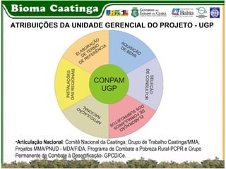 ATRIBUIÇÕES DA UNIDADE GERENCIAL DO PROJETO - UGP Articulação Nacional : Comitê Nacional da Caatinga, Grupo de Trabalho Caatinga/MMA, Projetos MMA/PNUD - MDA/FIDA, Programa de Combate a Pobreza Rural-PCPR e Grupo Permanente de Combate à Desertificação- GPCD/Ce. 