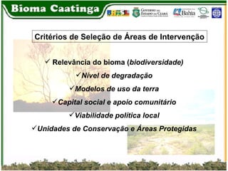 Relevância do bioma ( biodiversidade) Nível de degradação Modelos de uso da terra Capital social e apoio comunitário Viabilidade política local Unidades de Conservação e Áreas Protegidas Critérios de Seleção de Áreas de Intervenção   