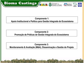 Componente 1: Apoio Institucional e Político para Gestão Integrada do Ecossistema Componente 2: Promoção de Práticas de Gestão Integrada do Ecossistema Componente 3: Monitoramento & Avaliação (M&A), Disseminação e Gestão do Projeto 
