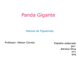Panda Gigante Professor: Nelson Correia Trabalho elaborado por: Adriana Silva nº1 9ºA Manuel de Figueiredo 