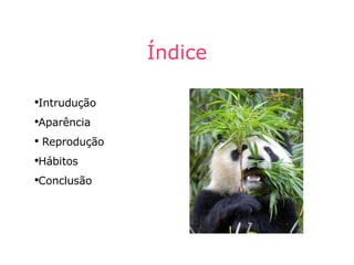 Índice Intrudução Aparência Reprodução Hábitos Conclusão 