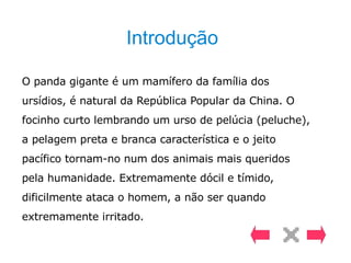 Introdução O panda gigante é um mamífero da família dos ursídios, é natural da República Popular da China. O focinho curto lembrando um urso de pelúcia (peluche), a pelagem preta e branca característica e o jeito pacífico tornam-no num dos animais mais queridos pela humanidade. Extremamente dócil e tímido, dificilmente ataca o homem, a não ser quando extremamente irritado. 