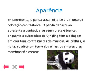 Aparência Exteriormente, o panda assemelha-se a um urso de coloração contrastante. O panda de Sichuan apresenta a conhecida pelagem preta e branca, enquanto a subespécie de Qingling tem a pelagem em dois tons contrastantes de marrom. As orelhas, o nariz, os pêlos em torno dos olhos, os ombros e os membros são escuros.  