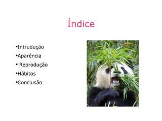 Índice Intrudução Aparência Reprodução Hábitos Conclusão 