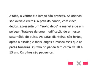 A face, o ventre e o lombo são brancos. As orelhas são ovais e eretas. A pata do panda, com cinco dedos, apresenta um "sexto dedo" a maneira de um polegar. Trata-se de uma modificação de um osso sesamóide do pulso. As patas dianteiras são fortes, aptas a escalar, e mais longas e musculosas que as patas traseiras. O rabo do panda tem cerca de 10 a 15 cm. Os olhos são pequenos. 