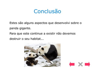Conclusão Estes são alguns aspectos que desenvolvi sobre o panda gigante. Para que este continue a existir não devemos destruir o seu habitat... 