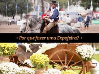 Por que fazer uma Expofeira? 
 